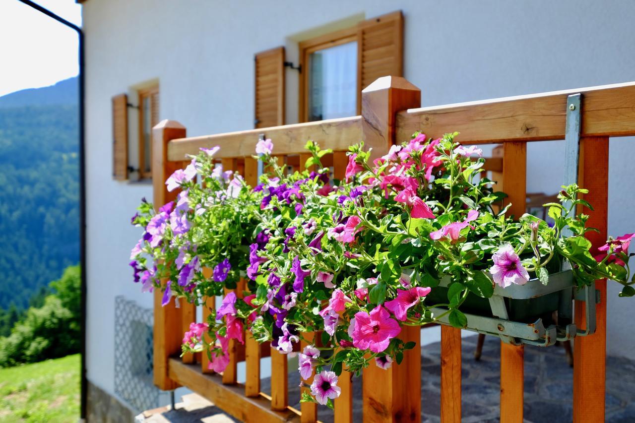 Agriturismo Reinhof San Felice  Esterno foto